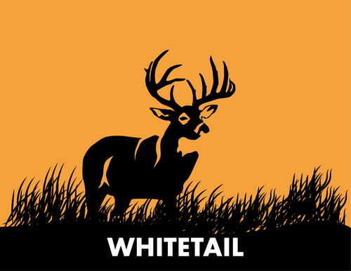 Whitetail Advanced Box